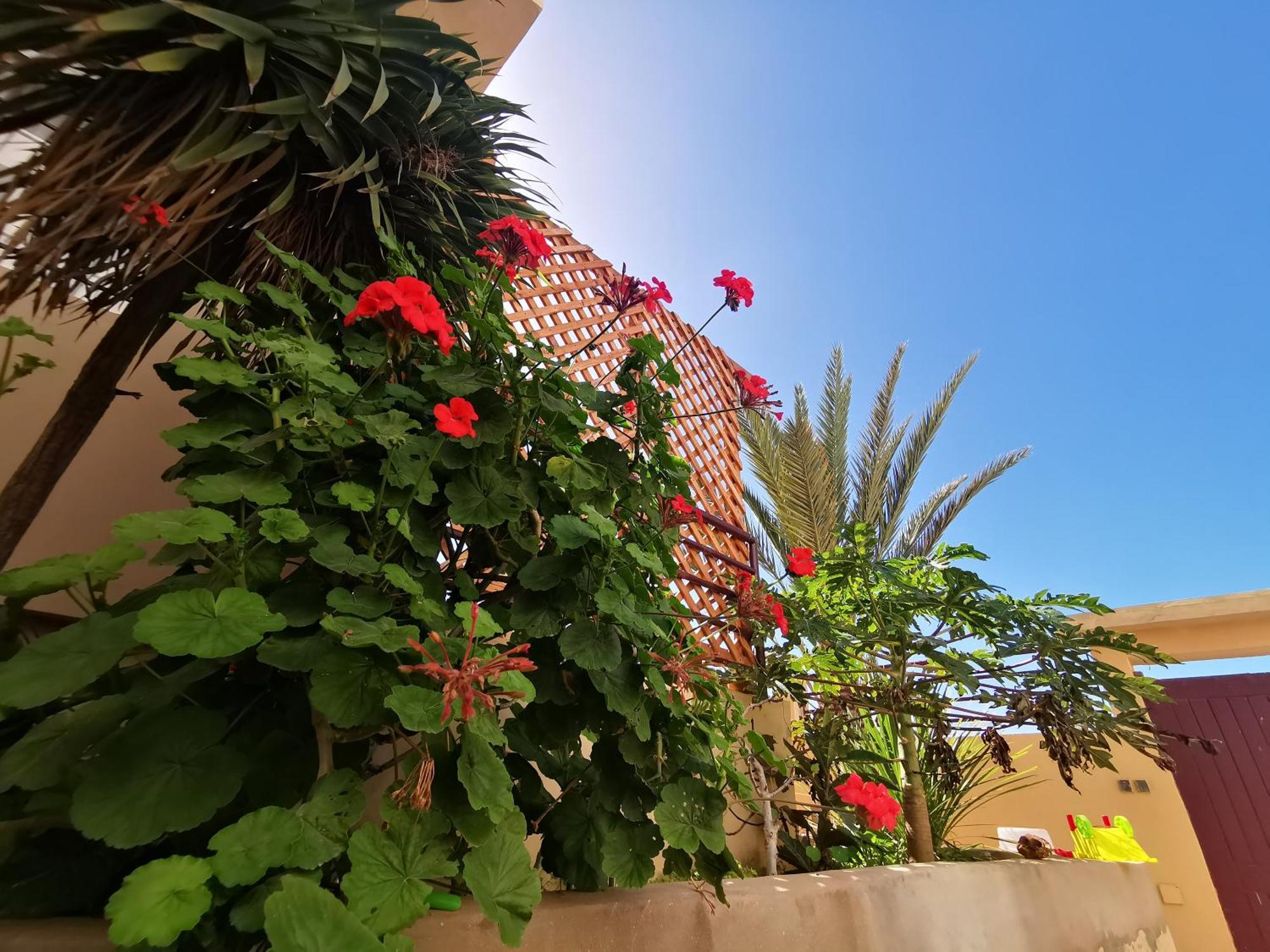 Travel Surf Morocco Villa Imsouane Bagian luar foto