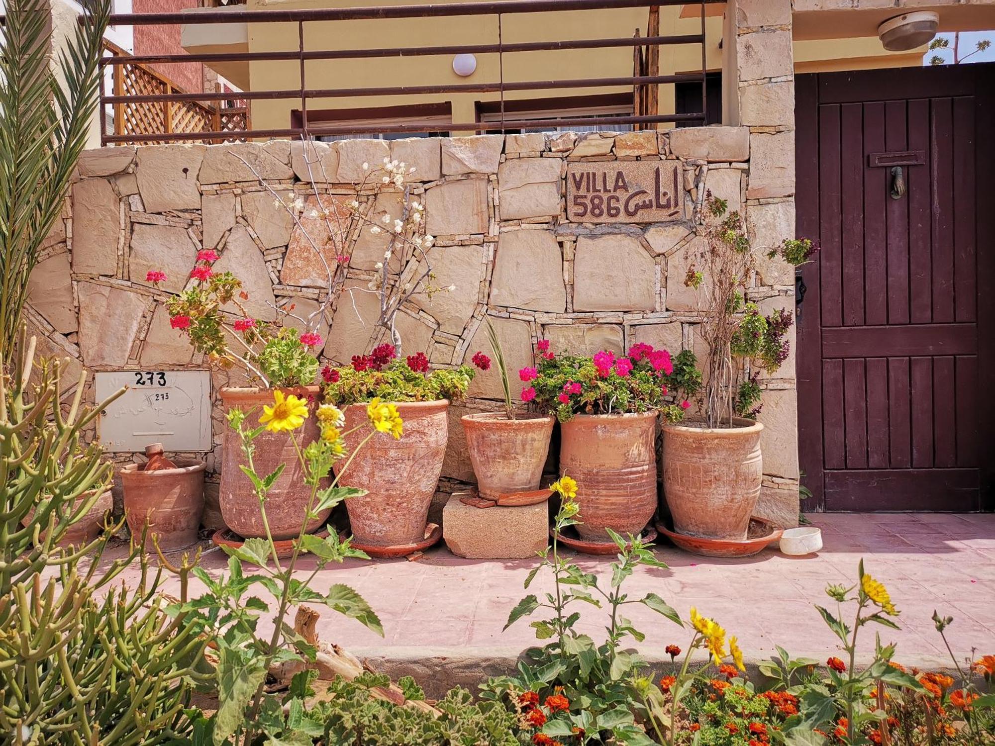 Travel Surf Morocco Villa Imsouane Bagian luar foto